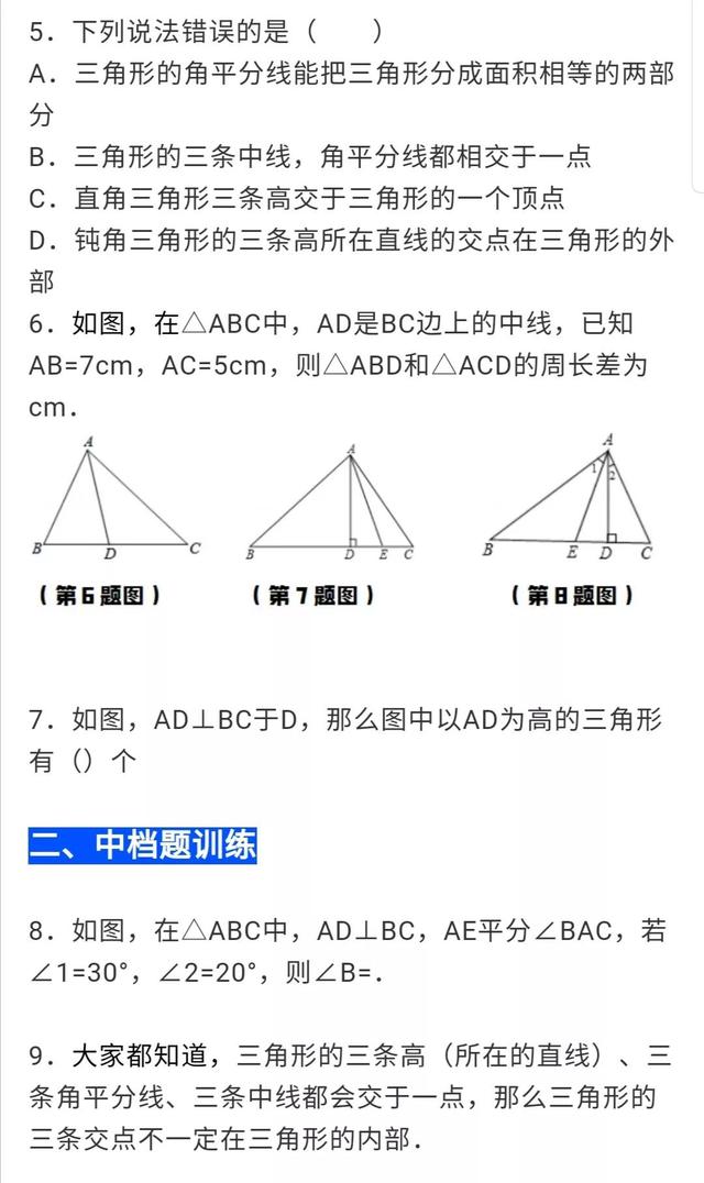 初二数学三角形有关的线段答案（初二数学三角形的高）(2)