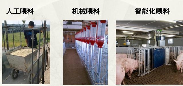 养猪科技的含量（为何大都猪场采用）(2)