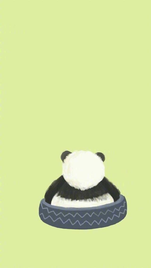 熊猫壁纸可爱又漂亮（可爱型熊猫壁纸）(105)