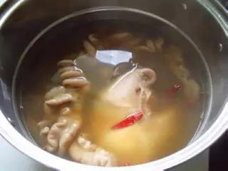 猪大肠搭配酸菜怎样做简单好吃（酸菜炒肥肠的做法）(3)