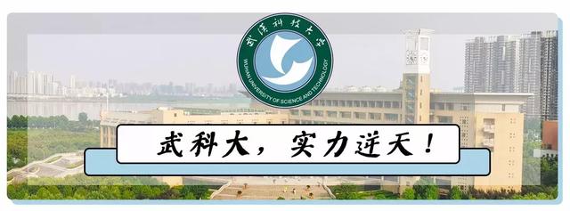 跟武汉科技大学差不多的学校（武汉科技大学神一样的大学）(8)