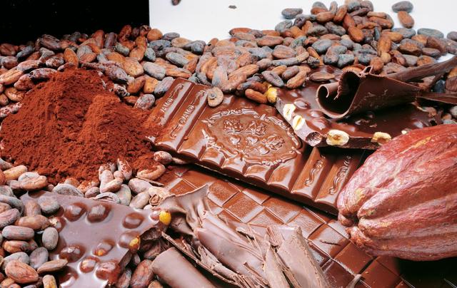 正宗的巧克力是哪国的（最美味巧克力之争）(13)