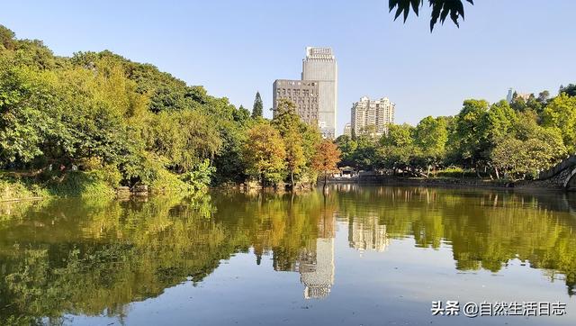 广州3月赏花好去处，探访秋日中的广州公园(21)