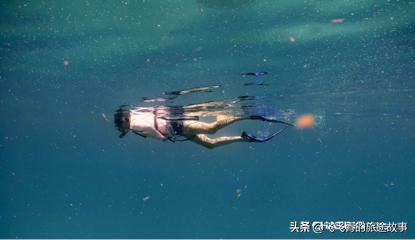 会飞哈苏相机优缺点（一款可以揭开水下拍摄神秘面纱的新神器）(1)