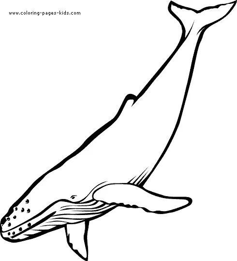 0到9简笔海洋动物怎么画（海洋动物简笔画高清线稿）(5)