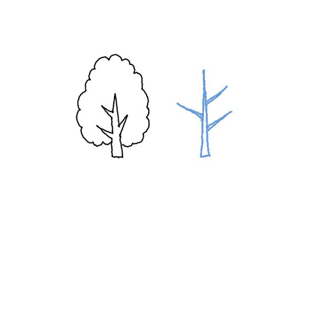 如何画树木简笔画（如何画树木简笔画）(4)