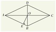 初二数学平行四边形判定定理（初中数学特殊平行四边形）(3)