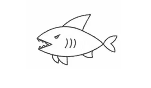 鲨鱼怎么画简笔画可爱又简单（简笔画儿童简笔画）(5)