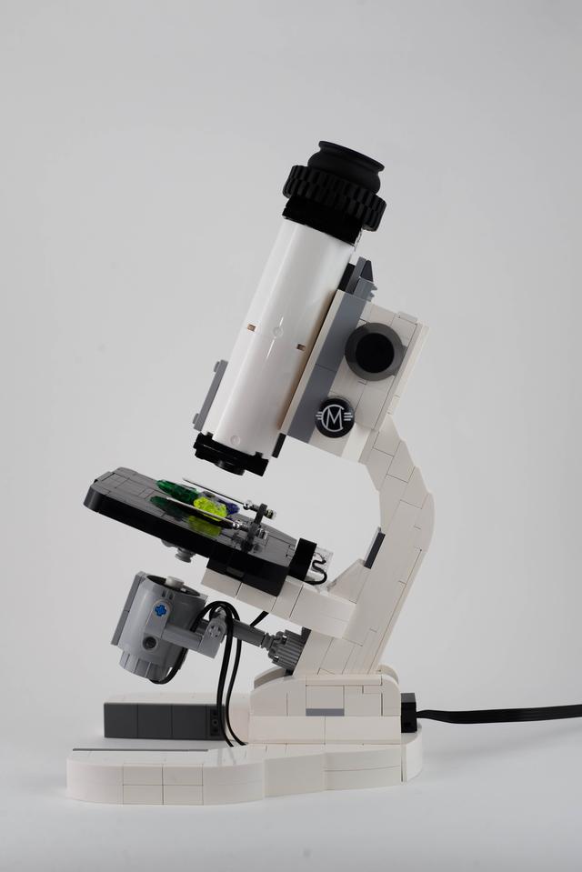 显微镜的构造及原理是什么（你知道显微镜的原理吗）