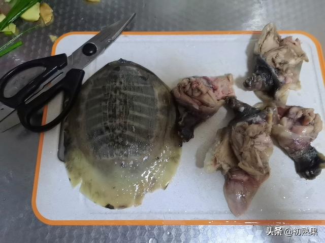 红烧甲鱼菜谱大全（美味红烧甲鱼）(6)