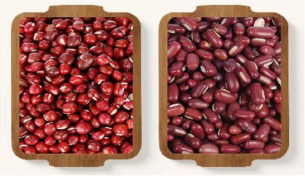 赤小豆与红豆有什么区别吗（赤小豆的有什么区别）(1)