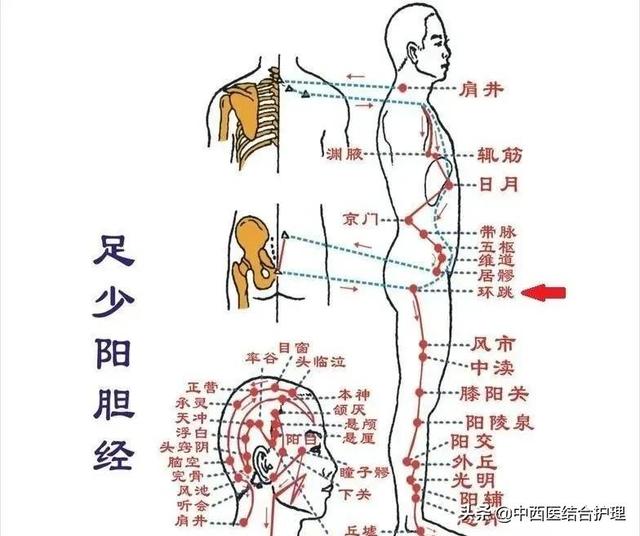 五个特殊治疗的穴位（穴位养生上可治到腰）(2)