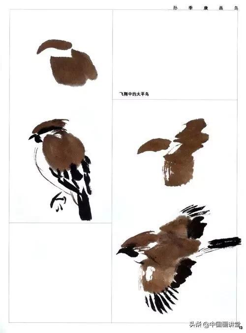 100幅钢笔鸟的画法内附绘画步骤（寥寥几笔就能画出一个活灵活现的鸟儿）(27)