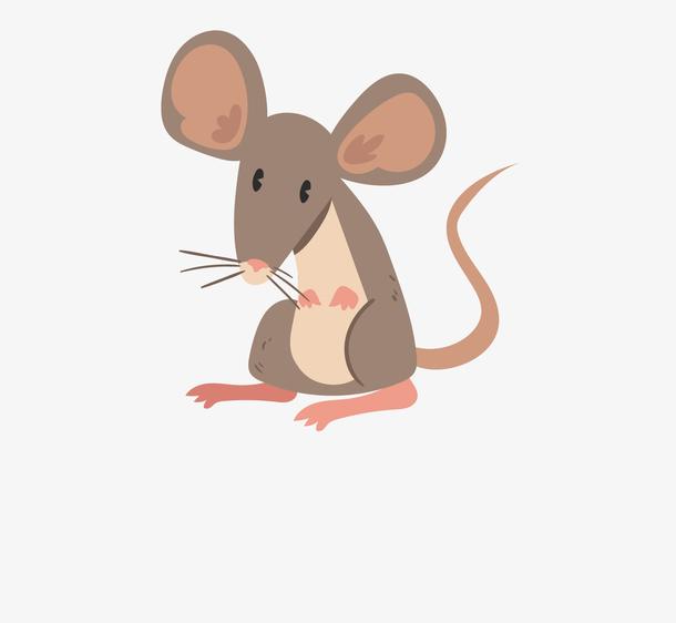 灭四害之老鼠吃老鼠（老鼠四害中的首害）(1)