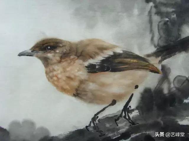 工笔画虫鸟画（50幅活灵活现的工笔小麻雀）(31)