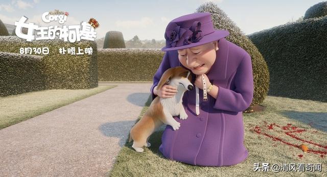 英国女王最爱的柯基动画片（动画片女王的柯基惊现特朗普）(5)