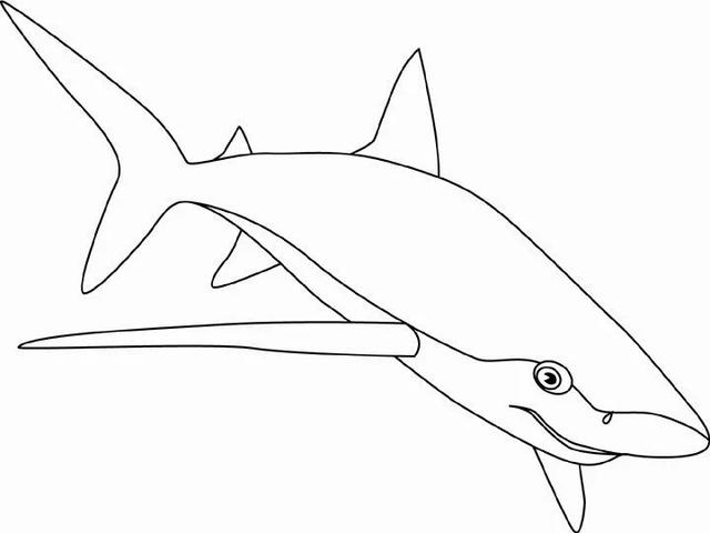 0到9简笔海洋动物怎么画（海洋动物简笔画高清线稿）(4)