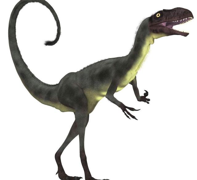 伤齿龙有可能进化成恐龙人吗（伤齿龙与黑猩猩）(5)