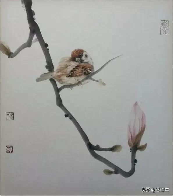 工笔画虫鸟画（50幅活灵活现的工笔小麻雀）(42)