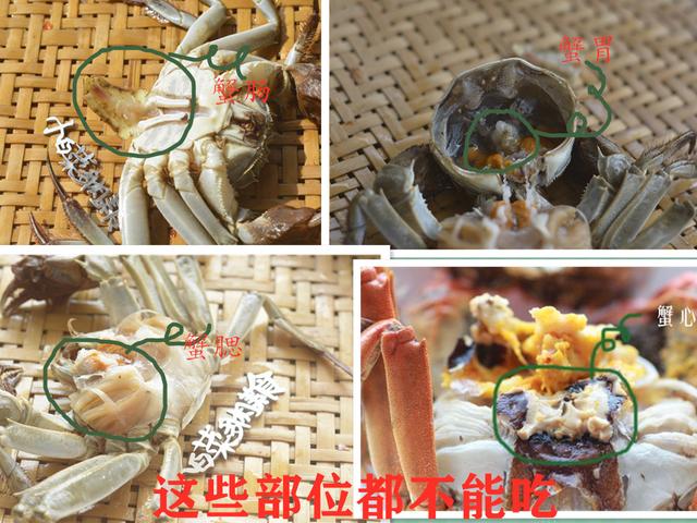 小沟里的螃蟹怎么做才好吃（家庭主妇花8元买了3只螃蟹）(10)