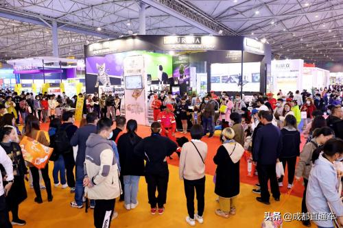 重庆国际宠物展览会（4大主题展区6大专业活动）(3)