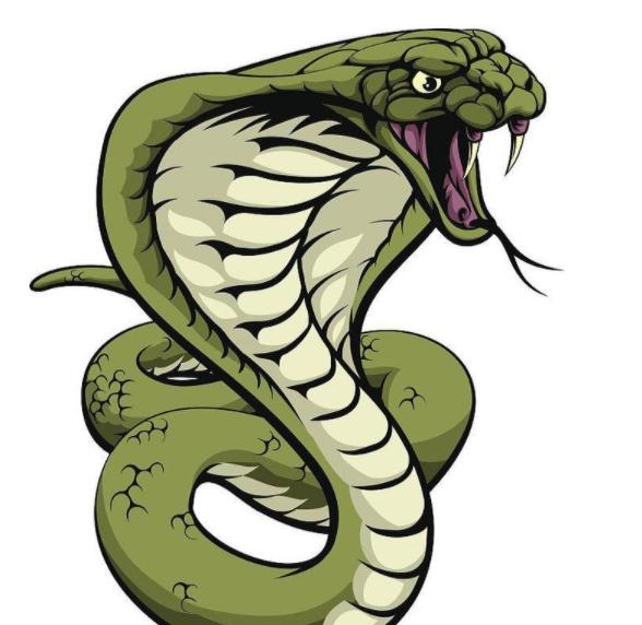 菜花蛇能吃所有毒蛇吗（民间有一里有菜花）(5)
