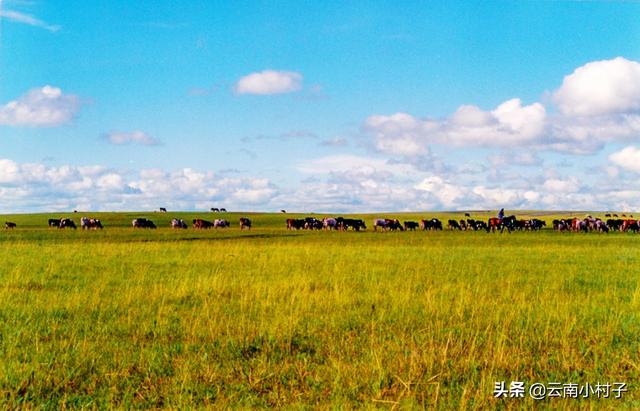 蒙古草原上的真实生活（远离草原的蒙古族）(5)