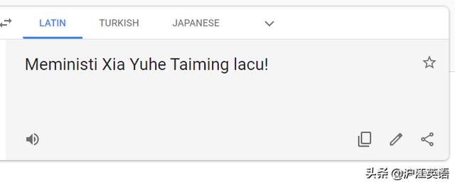 google翻译怎么用（把中文用Google翻译10次会发生什么）(14)