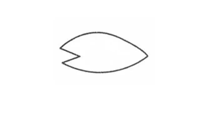 鲨鱼怎么画简笔画可爱又简单（简笔画儿童简笔画）(1)