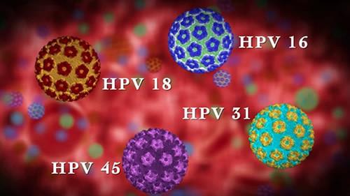 接吻传染hpv通过口腔传染吗（HPV通过接吻传播吗）(2)
