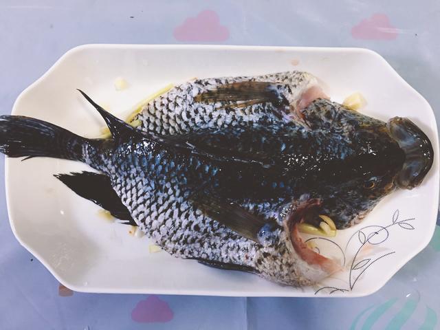 清蒸石斑鱼用什么鱼好吃（清蒸花斑鱼肉质鲜嫩）