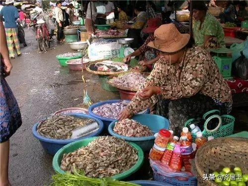 柬埔寨最新街边美食（柬埔寨老百姓的日常美食）(29)