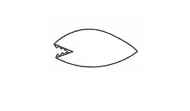 鲨鱼怎么画简笔画可爱又简单（简笔画儿童简笔画）(2)