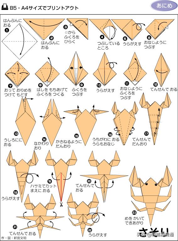 看图儿童能看懂的折纸教程书推荐（各种折纸方法图解）(16)