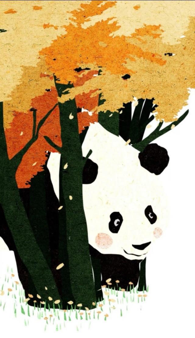 熊猫壁纸可爱又漂亮（可爱型熊猫壁纸）(118)