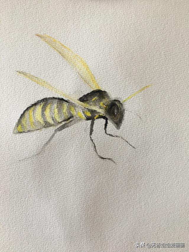 蜜蜂复杂画法（手绘一只非常有立体感的小黄蜂）(5)