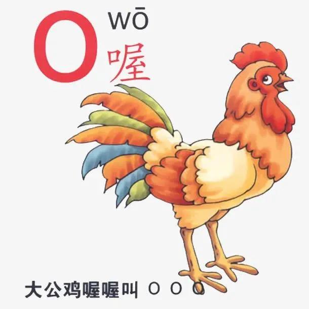 拼音o的发音有几个调（拼音o该读）(3)