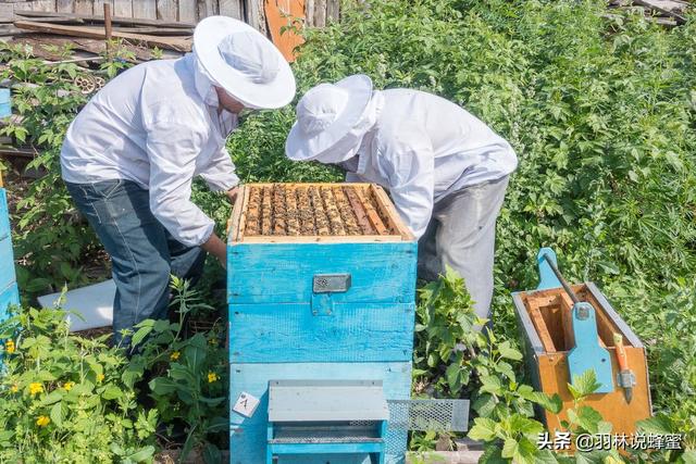 掺假的蜂蜜都可以鉴别出来吗？市场上掺假蜂蜜(2)