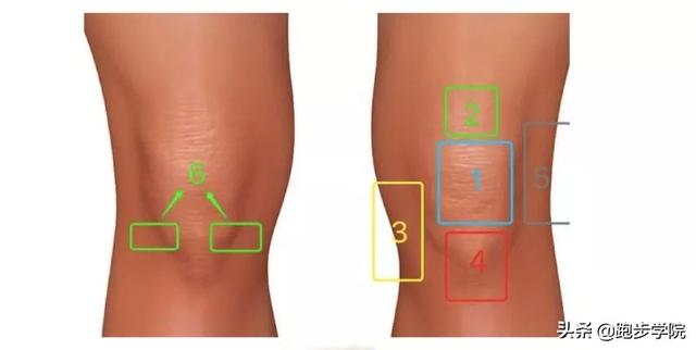 膝盖疼是为什么（膝盖疼到底是哪里疼）(2)