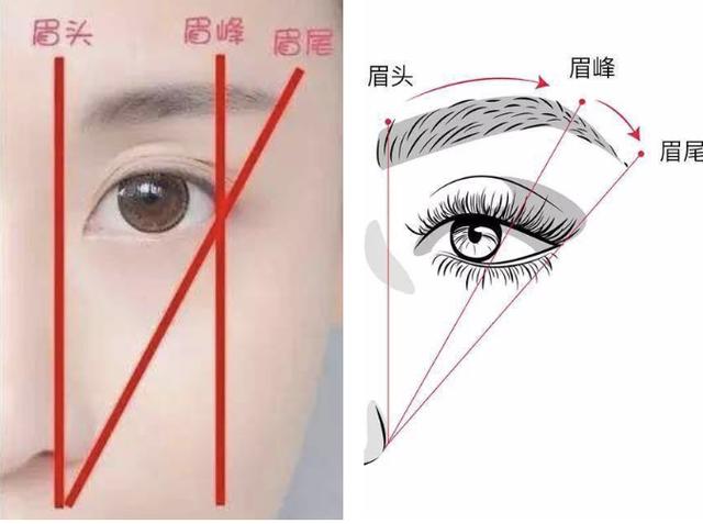 10种脸型适合什么眉形（5种常见脸型与适合眉形）(5)