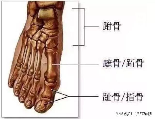 你的脚到底该怎么穿鞋（你的练习是在张开脚趾）(4)