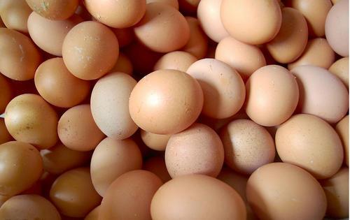 蒸水蛋的正确方法用什么蒸（蒸水蛋如何嫩滑无蜂窝）(1)