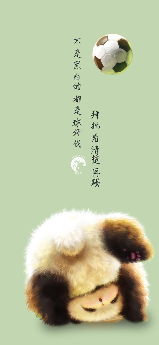 熊猫壁纸可爱又漂亮（可爱型熊猫壁纸）(160)