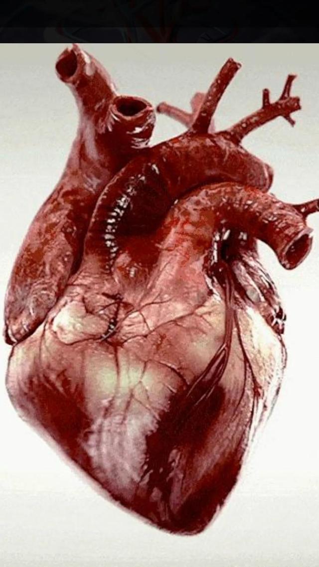 心肌梗塞的前兆会有什么状况呢（知道了心肌梗塞）(3)