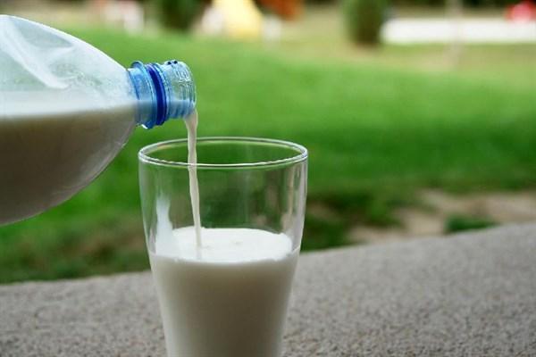 长期喝牛奶有什么好处和坏处呢（喝牛奶虽然好处多）