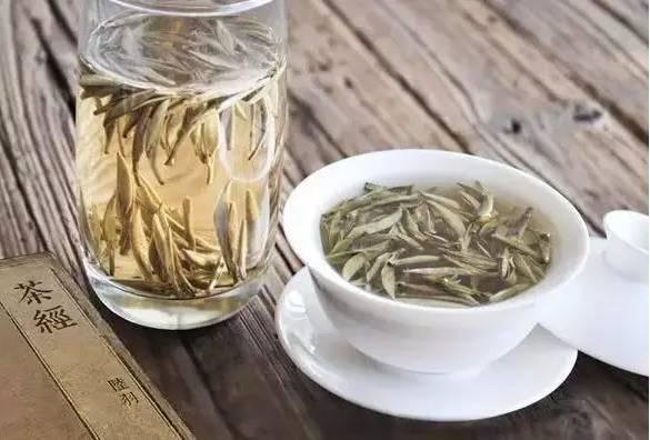 白茶属于什么茶热性凉性（白茶性凉却号称）(7)