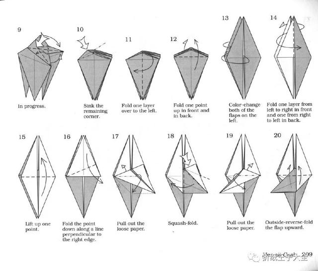 大钳蟹折纸（折纸图解寄居蟹）(3)