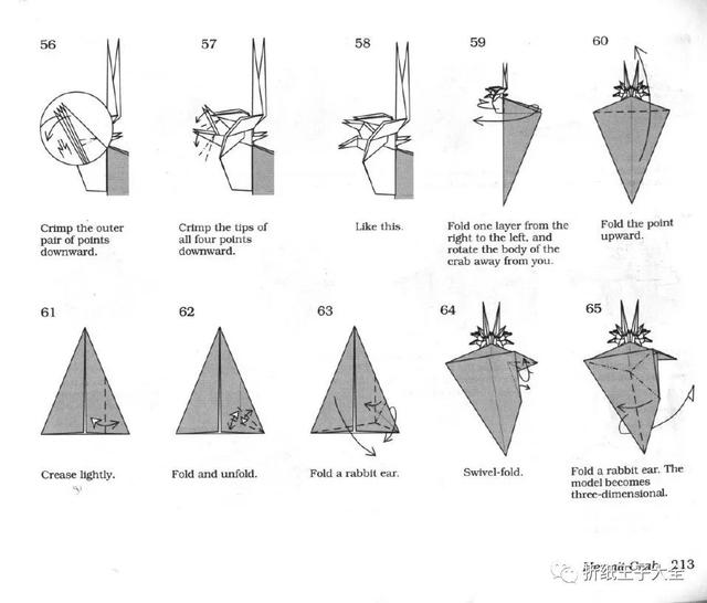 大钳蟹折纸（折纸图解寄居蟹）(7)