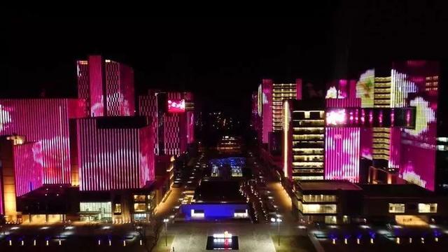 北京元宵佳节灯会（皇家范庙会科技灯光秀）(4)