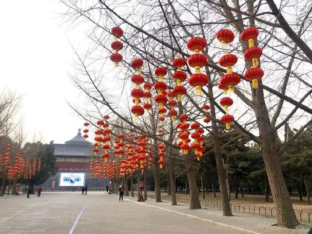 北京元宵佳节灯会（皇家范庙会科技灯光秀）(5)